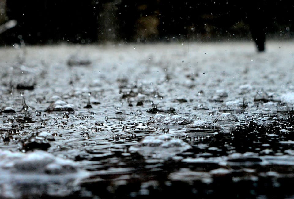 Can Heavy Rain Damage Your Septic System?
